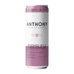 Anthony-Frambuesa-Lata-250ml