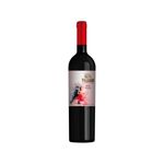 Alto-Palermo-Reserva-Caber-Sauvg--750ml