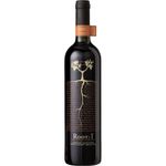 Ventisquero-Root1-Cabernet-Sauvi-750ml