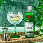 GIN_W_LONDON_DRY_700 _ML_AMB_1000X1000.jpg