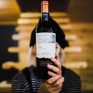 VENTISQUERO MERLOT RESERVA 750ML